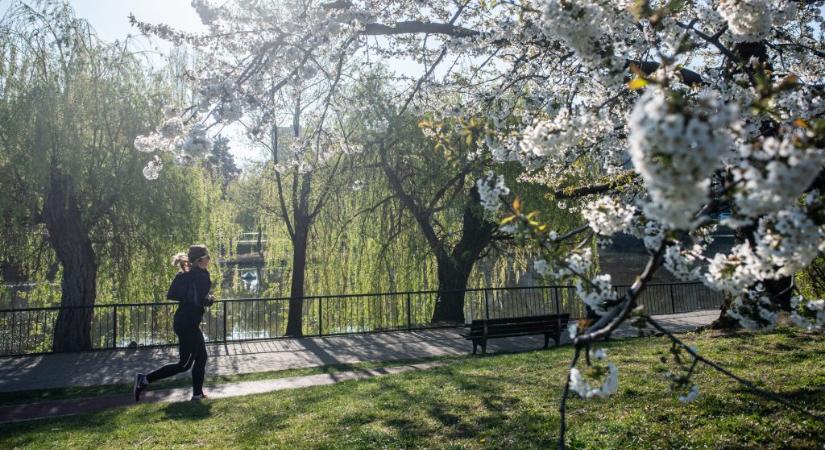 Ha élvezed, csinálni fogod – tippek az első félmaratonodhoz