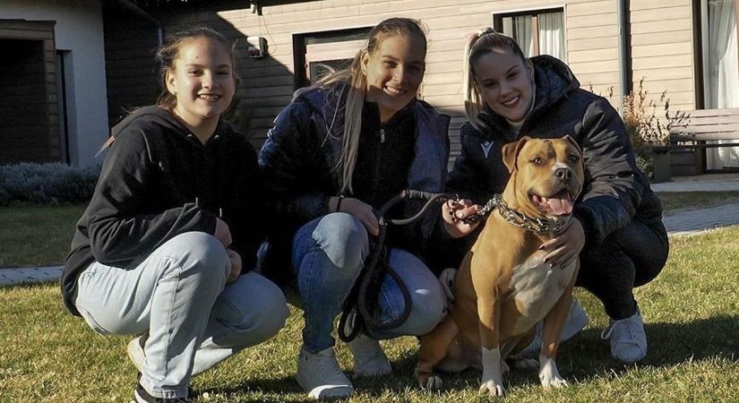 Klujber Katrin megmutatta a legfontosabb helyet, nagyvenyimi otthonát