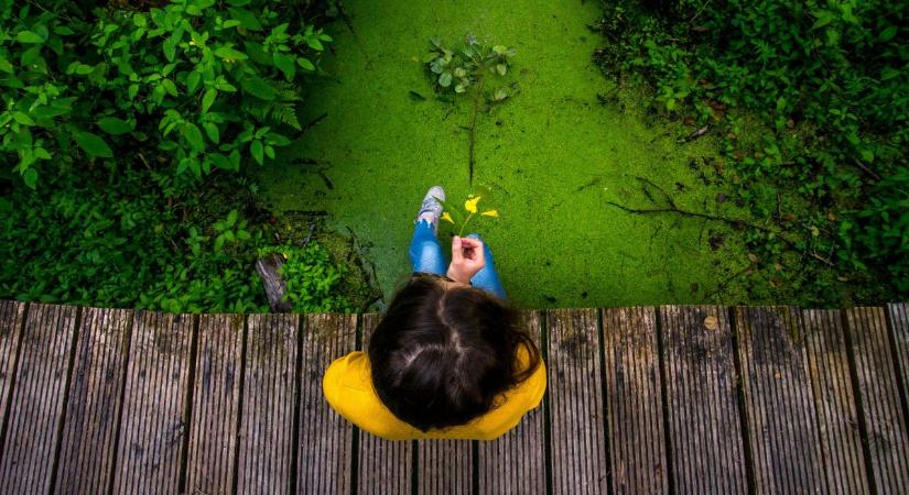 Kevesebb kell hozzá, mint gondolnád! Hogyan találhatod meg az életcélodat a pszichológus szerint?