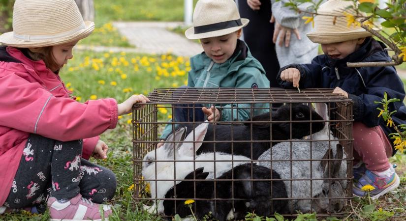 Halálos ítélet masnival – tényleg egy életet akar tönkretenni az ünnep miatt?