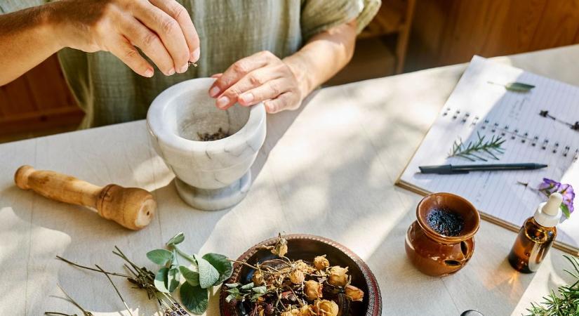 Fűben, fában - a gyógynövények varázslatos világa