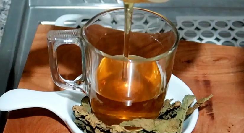 Ezért érdemes 55 felett spenót teát fogyasztani