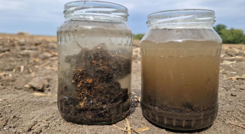 Talajstratégiák II. – Vízbeszivárgás