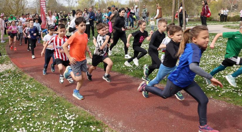 Mézeskalács érem járt a kilométerekért a városligeti nyuszifutáson