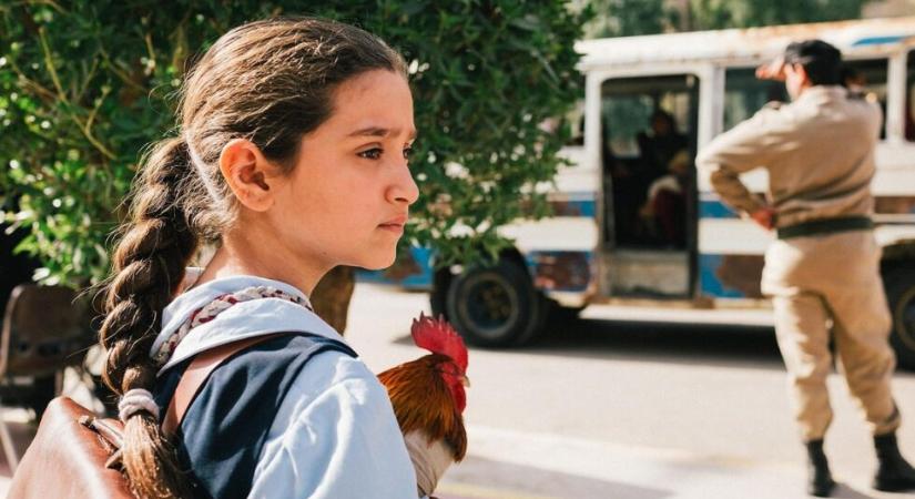 Az elnök tortája – kritika