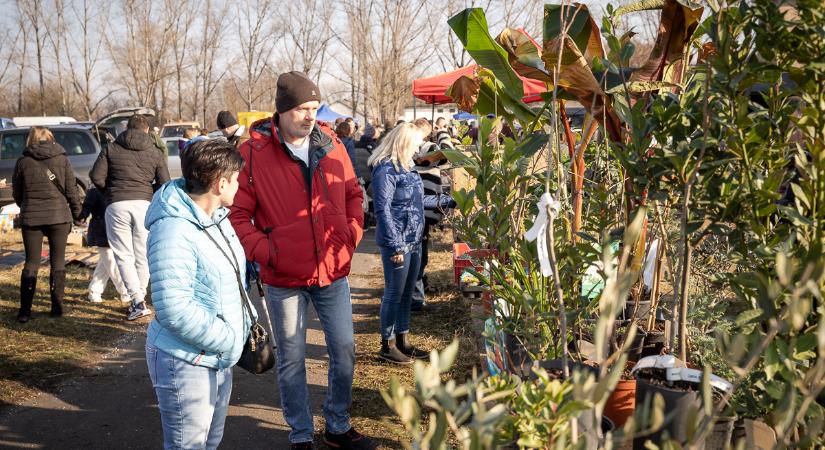 Húsvéti kisállat- és növénybörze várja a látogatókat Győrben