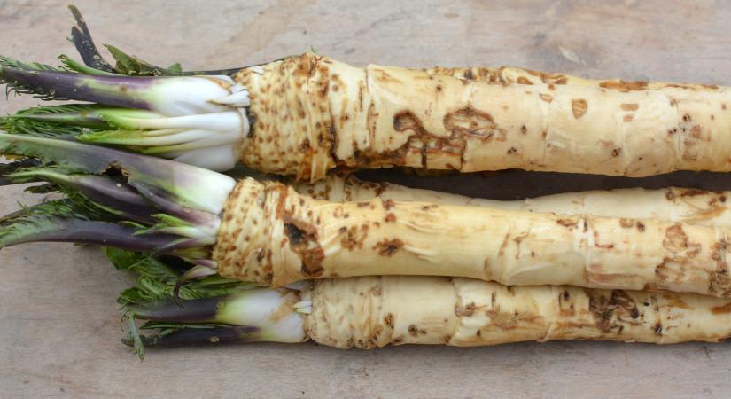 Tormatermesztés okosan