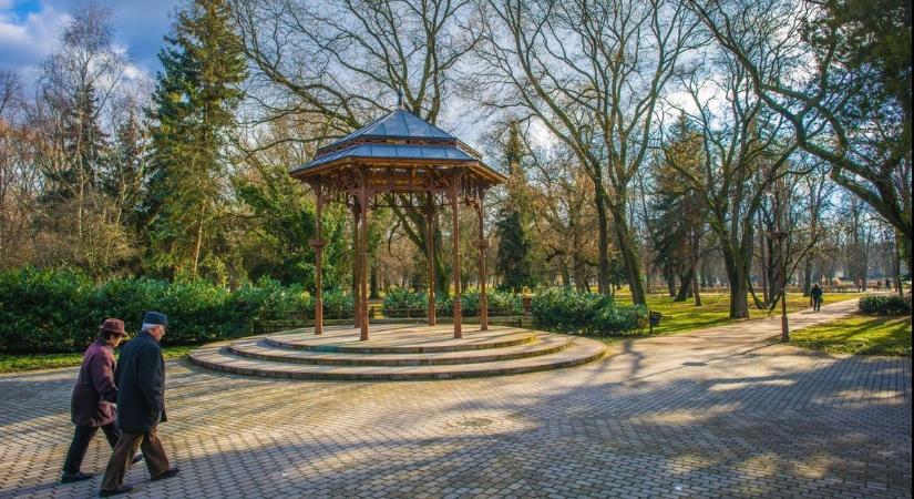 Mi bújik meg az ágak közt az Érsekkertben? – videón mindenki kedvencei