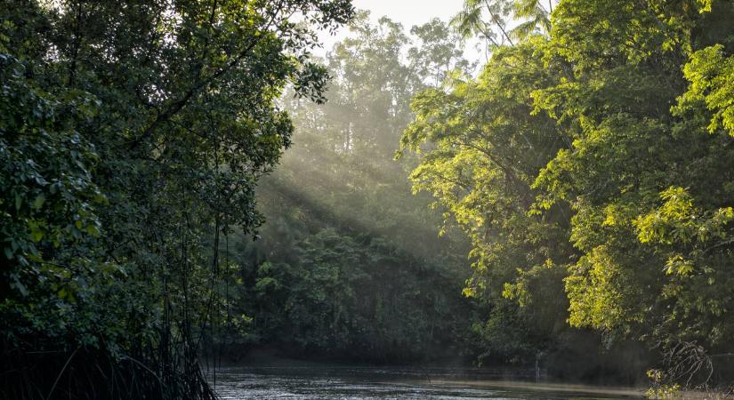 Ma is csapdát állít az embereknek ez a törzs: az utolsók közt zárják ki magukat a civilizációból