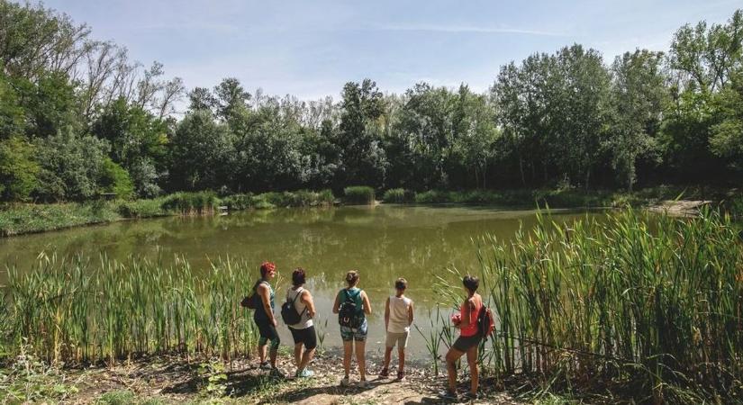 TOP 5 hajdú-bihari kirándulóhely, ahová elmenekülhetsz a locsolkodók elől!