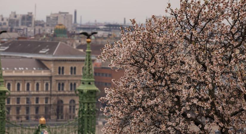 Időjárás: húsvét után záporral és viharos széllel érkezik meg a hidegfront