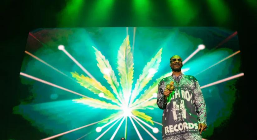 Új magyar kutatás borítja a narratívát a cannabis káros hatásairól