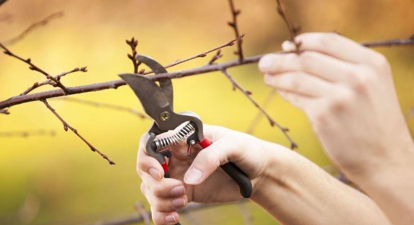 Kellemes tavaszi idő várható húsvét vasárnapján