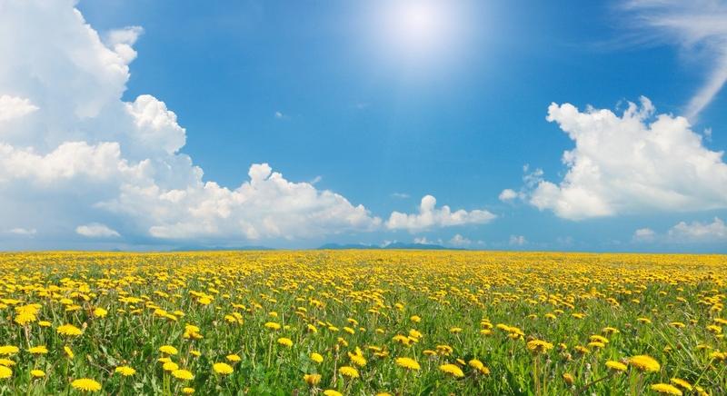 Hamisítatlan tavaszi idő vár ránk az ünnepek alatt