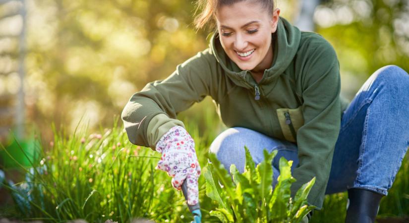 Most bújnak elő ezek a veszélyes kártevők, amik tönkreteszik a kerted, de így fel tudod venni velük a harcot