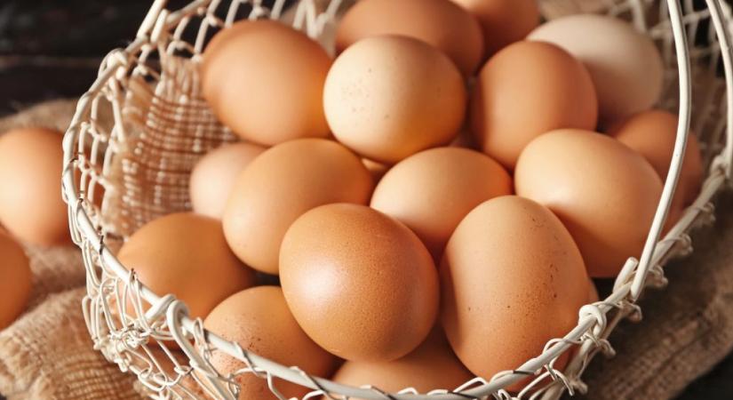 Itt egy nem akármilyen adat a magyar tojásokról – A hét ábrája