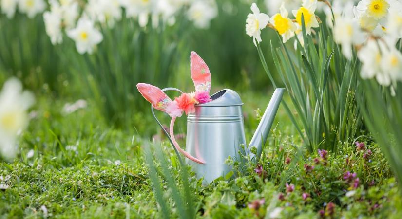 Ezt hozza 2026. április 5. a numerológia szerint: különösen támogatott minden, ami új