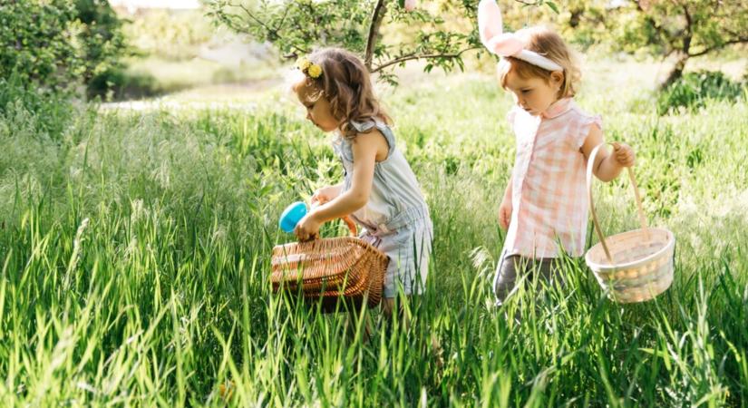 Ezzel dobd fel a mai napot!