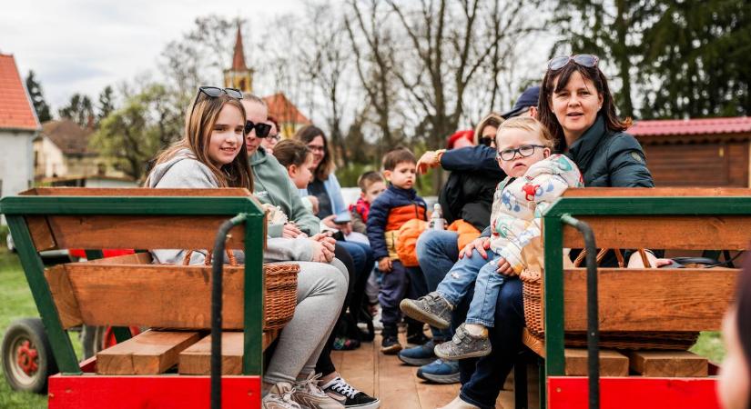 Traktoros tojáskeresés: igazi falusi kaland a Csehi Csodás Vásárkertben - fotók