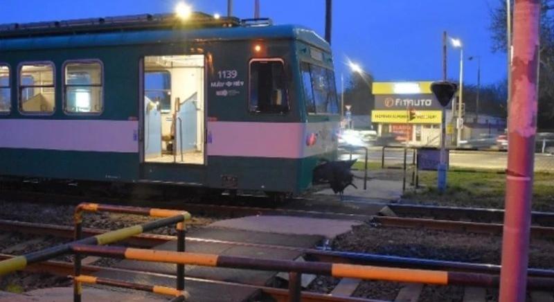 Meghalt a kisfiú, akit telefonálás közben gázolt el a HÉV