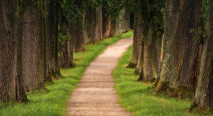 Ez a Balaton titkos helyszíne, misztikus világcsodát rejt az erdő mélye