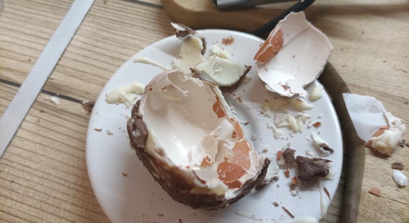 Mi volt előbb, a nyúl vagy a tojás?