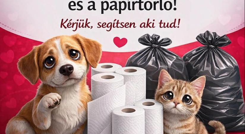 Alapvető eszközökből fogyott ki a Győri Állatmenhely