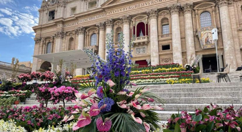 Húsvétvasárnapra több mint 70 ezer virág érkezett Hollandiából a Szent Péter térre