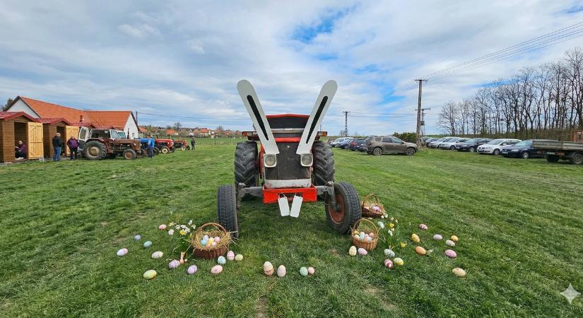 A traktor volt a főszereplő, a nyúl csak asszisztált