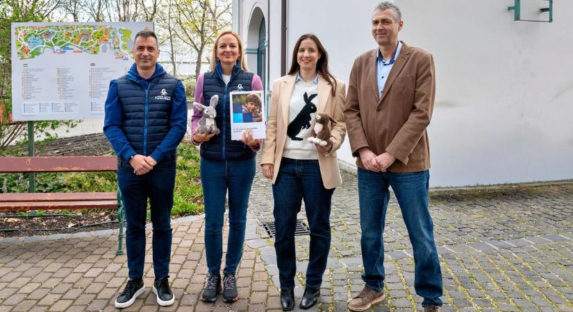 Ha nem vagy biztos benne, vegyél inkább plüsst! - Elindult a Nyuszijogsi program