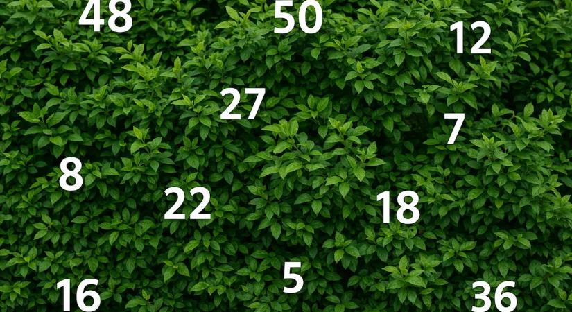 Válassz egy számot a bokorról, és olvasd el, milyen üzenetet hordoz most számodra!