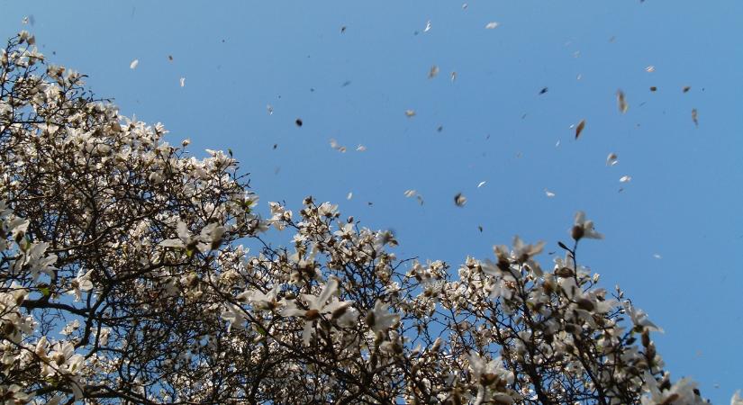 A számok nem hazudnak: ilyen volt a március