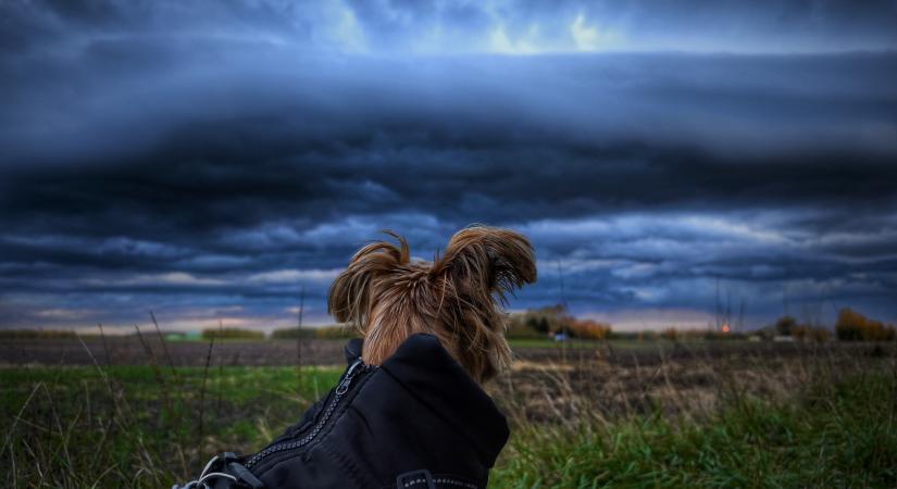 Nyúlcipőt húz a tavaszi meleg