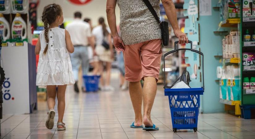 Többszörös rezsi, új adó: súlyos következményekkel járna a családoknak a Tisza tervezete