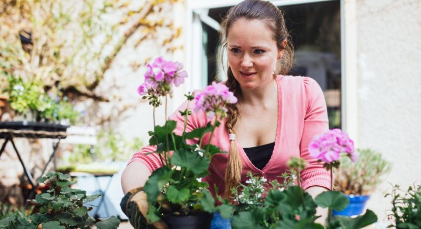 Ez a néhány növény teljesen új életet adhat a balkonodnak tavasszal