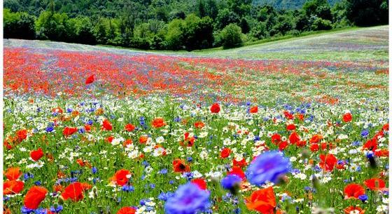 Tömegével utaznak Magyarországra a turisták, mindenki egy aprócska utcára kíváncsi