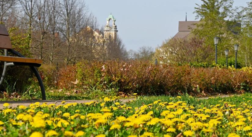 Így virágzik most a Tisza partja – galériánkban a tavasz pillanatai