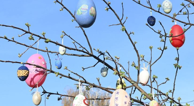 Idén is tojásfát díszítettek Tiszasülyön húsvétra – galériával