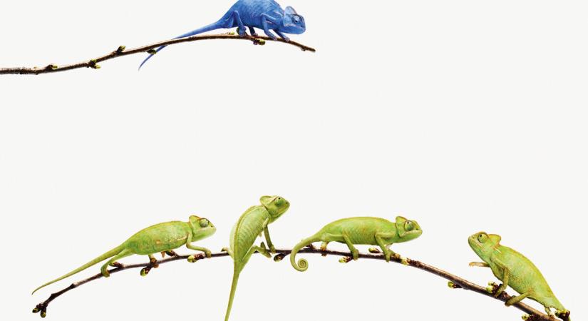 Mi fán terem az otrovertált ember?