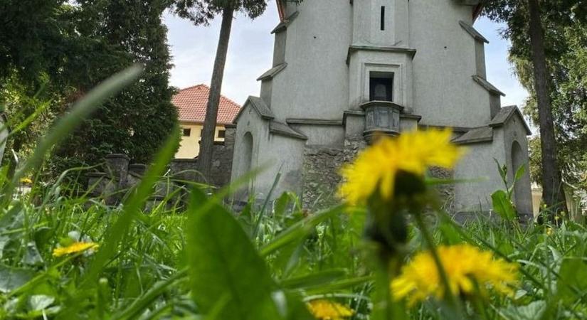 Miért ne siess a fűnyírással? Ezer apró, de nagyon fontos okot tudunk rá