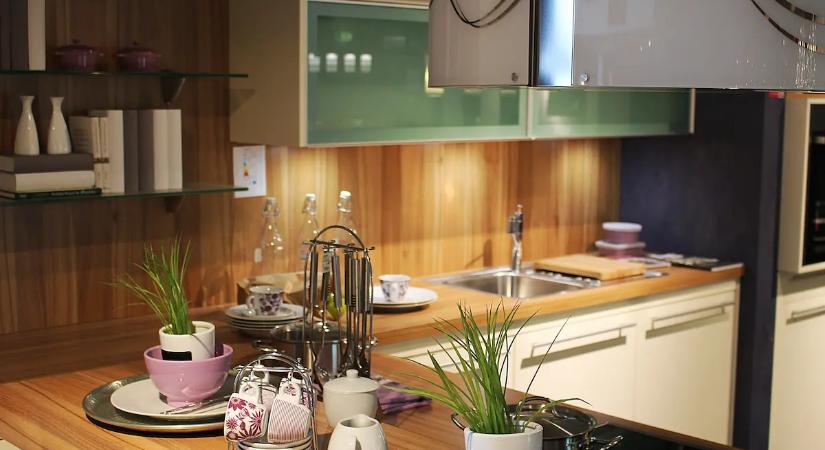 Még ma tedd ezt a növényt a konyhádba: Hatékonyabban szívja el a szagokat, mint sok légfrissítő