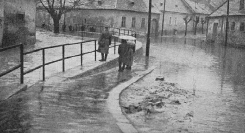 Vízbefúlt állatok, ablakon beömlő víz - Megvadult patakok okoztak árvizet Sopronban