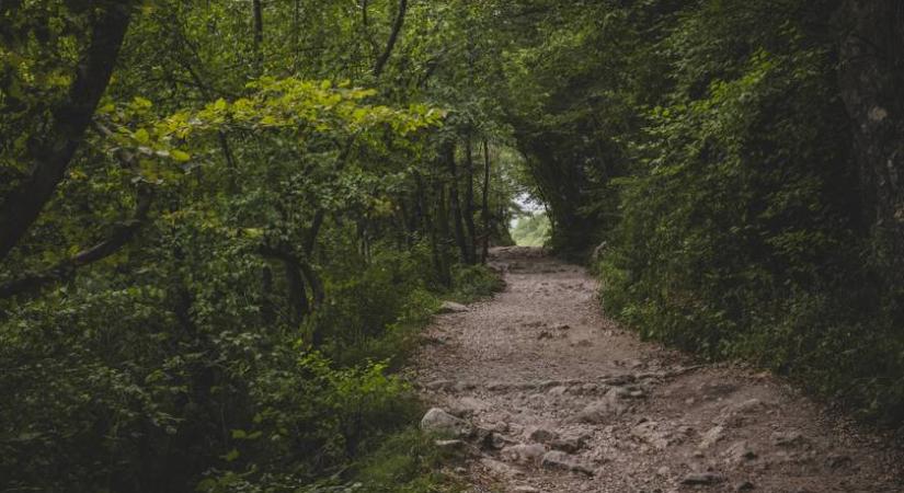 Évek óta üresen áll ez a szlovén kastély – Kísérteties hangulat vár a falak mögött