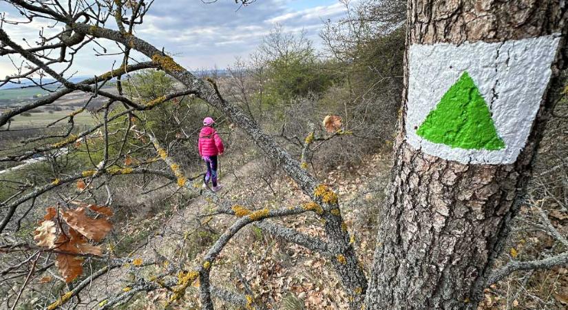 Tavaszi zsongás Budapest környékén: 10 tökéletes szabadtéri program az agglomerációban