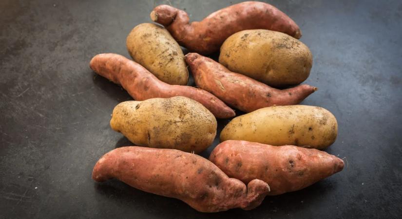 Egészséges egyáltalán az édesburgonya? A szakértő szerint többet árthat, mint segíthet