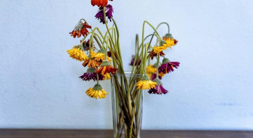 5 trükk, ami feléleszti az elhervadt vágott virágot: a jeges víz csak így működik