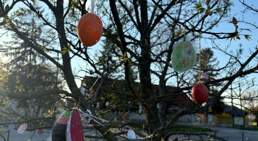 Húsvétra megtelt díszekkel a domaszéki tojásfa