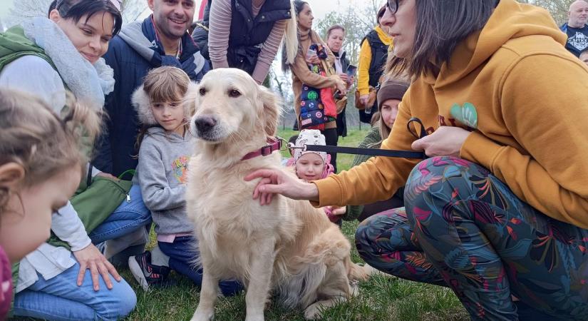 Pulóverek, zacskók, sisakok teltek meg színes tojásokkal Siófokon (sonline.hu)