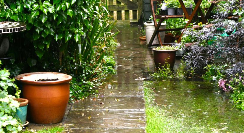 Döbbenetes, hogy robbant be a tavasz: valami nagyon furcsa történt