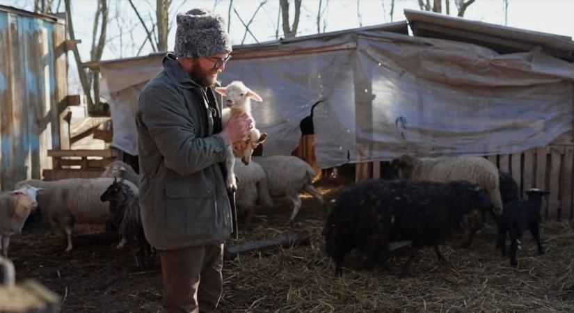 Városból a tanyára: önfenntartó életet és cserekereskedelmet folytat a ceglédi Sipos család